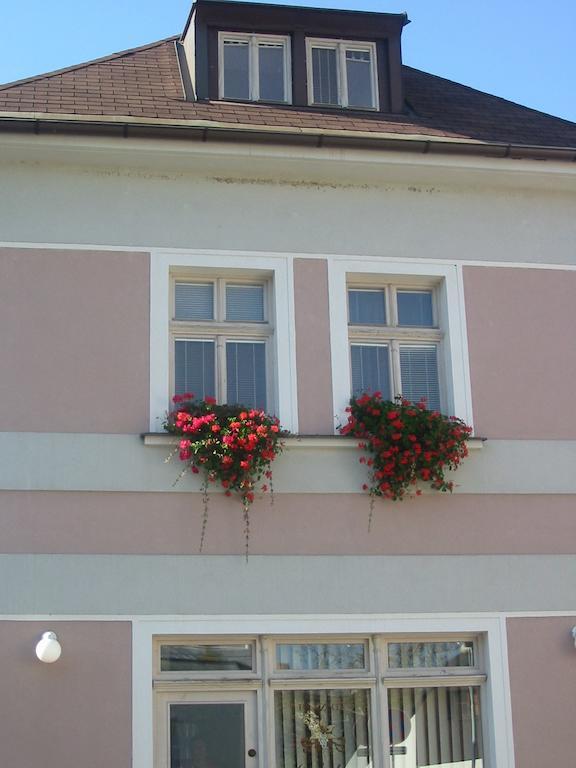 Penzion Orchidea Opocno Exterior photo