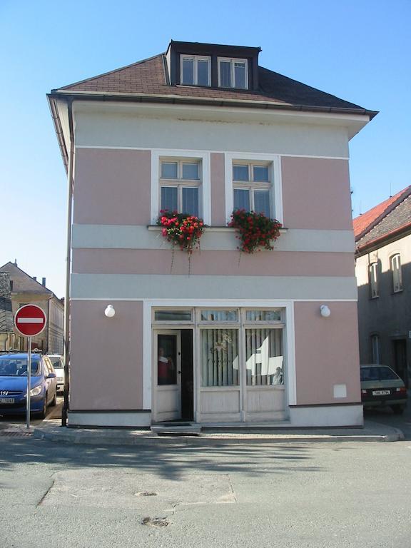 Penzion Orchidea Opocno Exterior photo